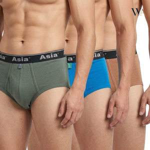 Brief